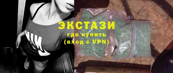 стафф Гусев