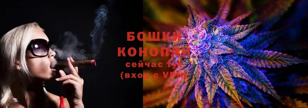 дживик Гусь-Хрустальный