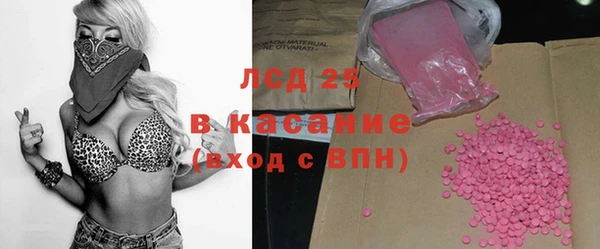 стафф Гусев
