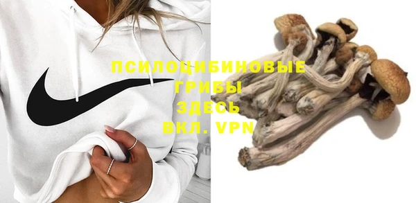 стафф Гусев