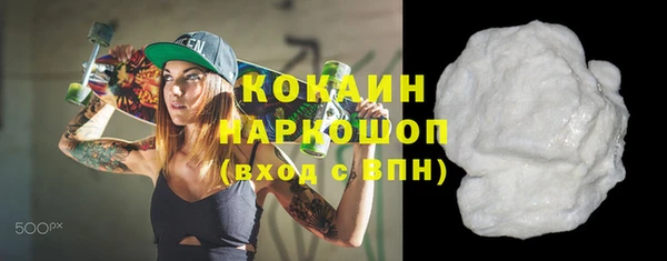 стафф Гусев