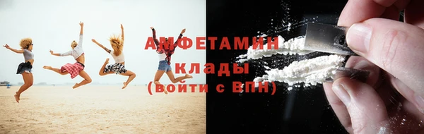 стафф Гусев