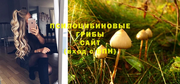 дживик Гусь-Хрустальный