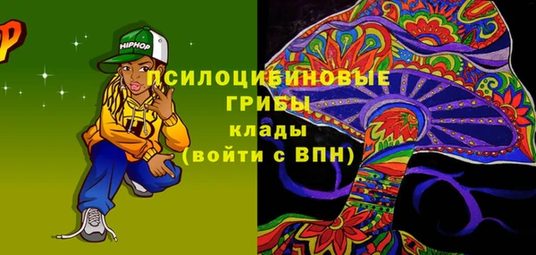 дживик Гусь-Хрустальный