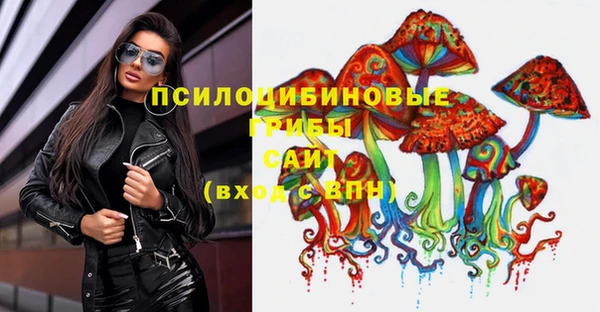 стафф Гусев