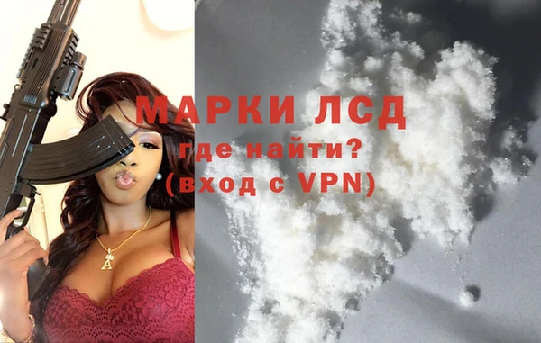 стафф Гусев