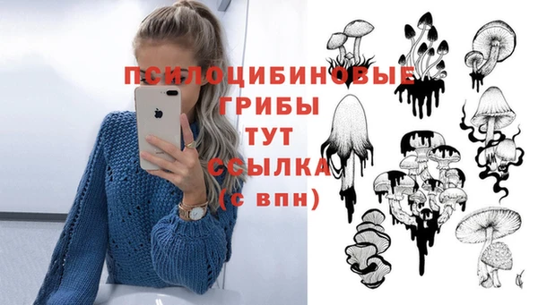 стаф Гусиноозёрск