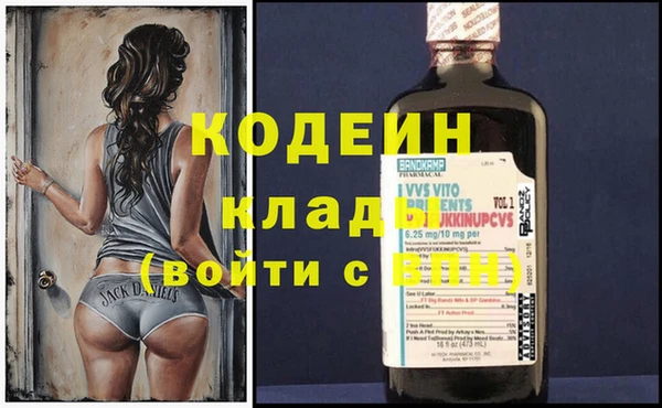 стафф Гусев