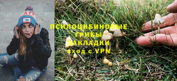 стаф Гусиноозёрск