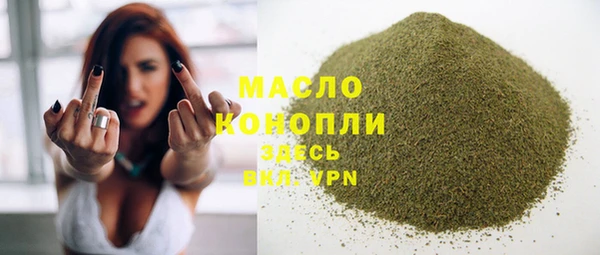 стафф Гусев