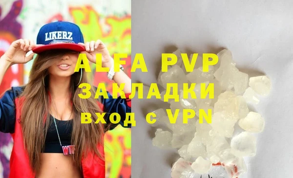 стафф Гусев