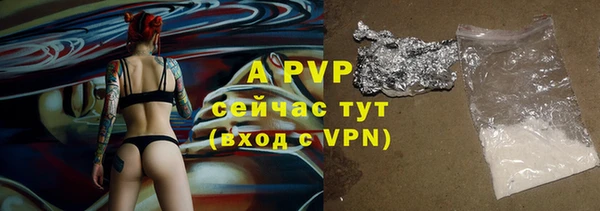 стафф Гусев